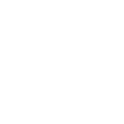 BMW Logo