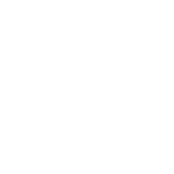 Bravado Logo