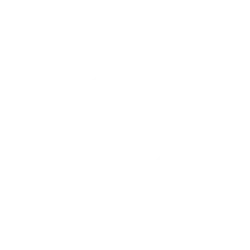 Mini Logo